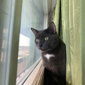 Meet your Posher, Aaishah